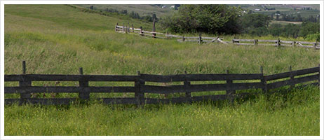 Agricultural Land